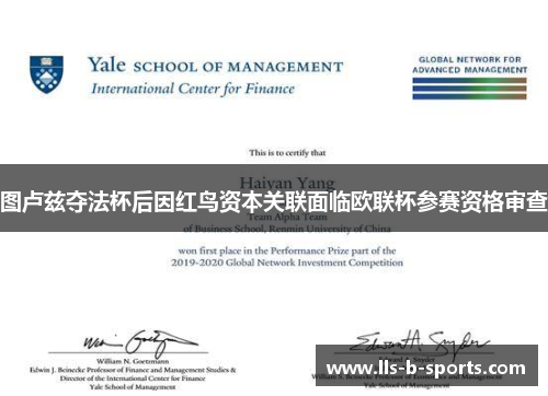 图卢兹夺法杯后因红鸟资本关联面临欧联杯参赛资格审查 图卢兹夺法杯后因红鸟资本关联面临欧联杯参赛资格审查