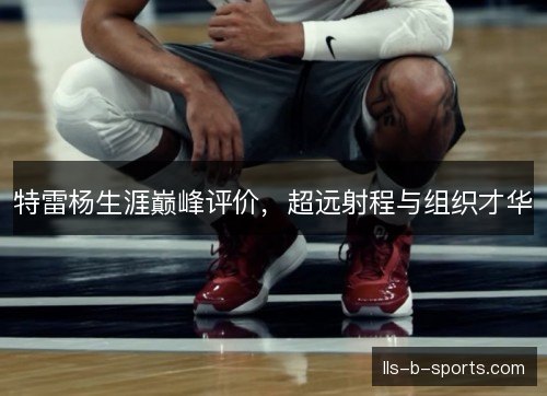 特雷杨生涯巅峰评价,超远射程与组织才华 特雷杨生涯巅峰评价,超远射程与组织才华