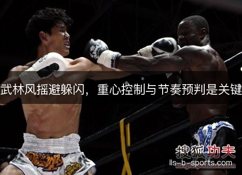 武林风摇避躲闪，重心控制与节奏预判是关键